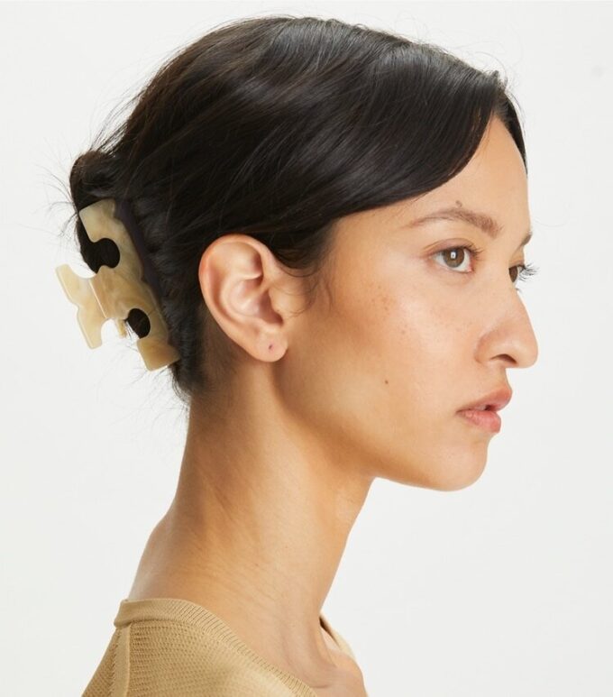 Barrette Icon