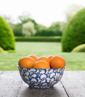Bol de service Spongeware