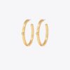 Boucles d&rsquo;oreilles Icon Hoop