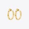 Boucles d&rsquo;oreilles Icon Hoop