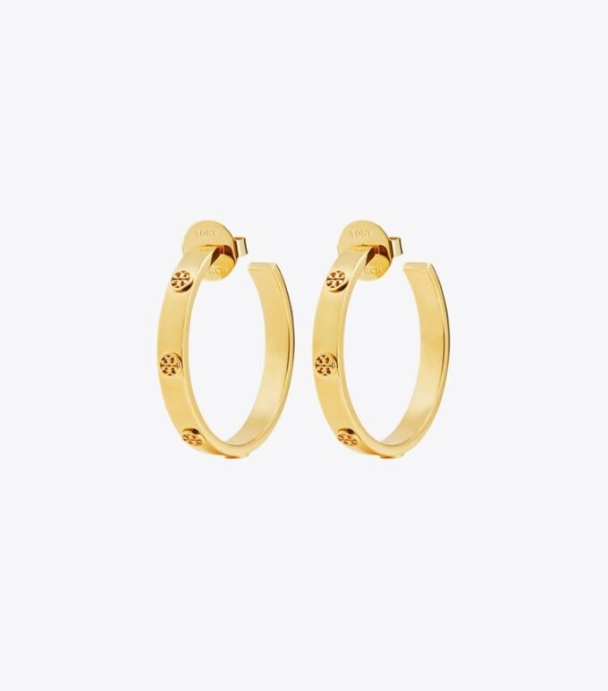 Boucles d&rsquo;oreilles Icon Hoop