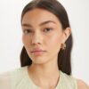 Boucles d&rsquo;oreilles Icon Hoop