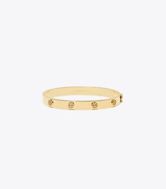 Bracelet Icon Hinge