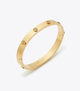 Bracelet Icon Hinge