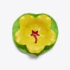 Ensemble bol et assiette Lily Pad Ensemble bol et assiette Lily Pad