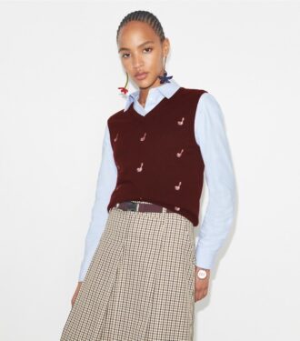 Gilet en cachemire Birdie