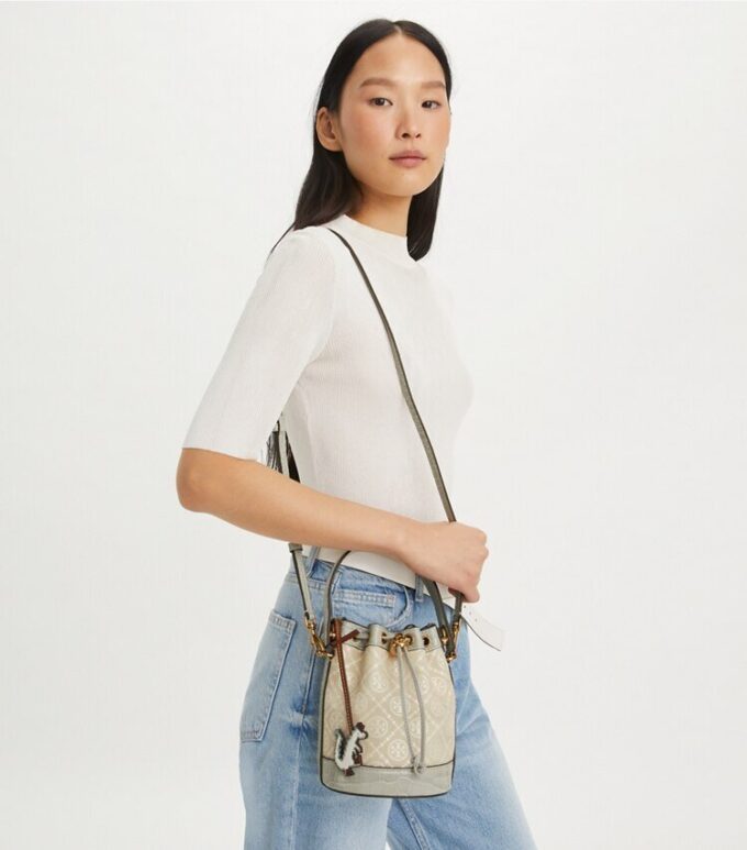 Mini sac seau T Monogram Cloud