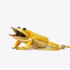 Pochette Tory The Toad Pochette Tory The Toad