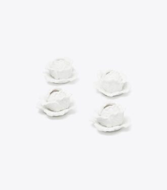 Porte-cartes Lettuce Ware, lot de 4