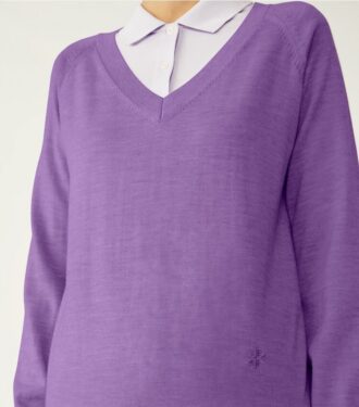 Pull en laine mérinos à col en V